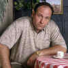 Article image for: See the latest photos of <i class="tbold">James Gandolfini</i>