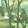 Article image for: Another <i class="tbold">terror attack in srinagar</i>, one terrorist killed