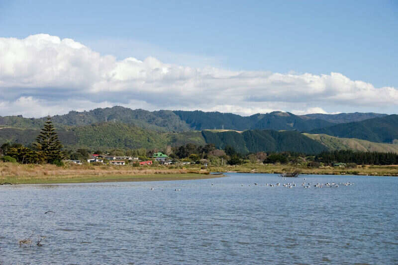 Waikane river