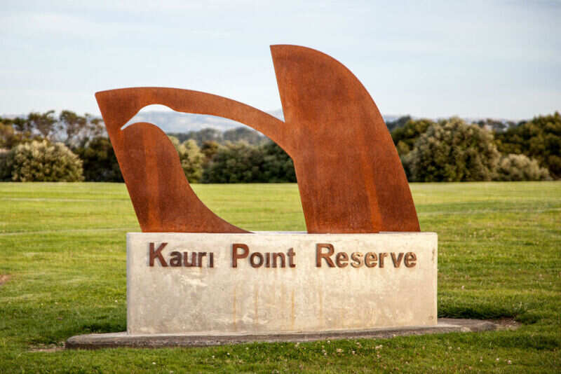 Kauri Point reserve