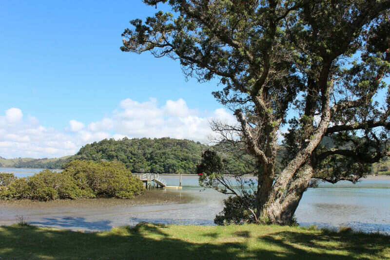 Wenderholm Resgional Park