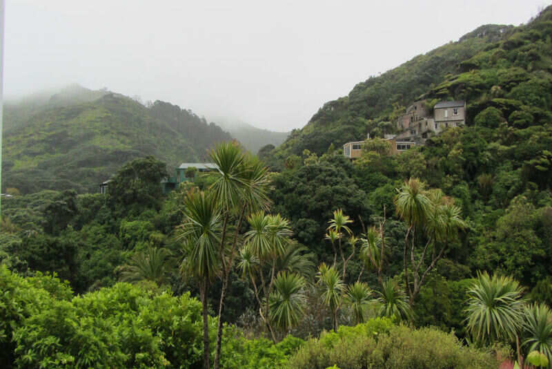 Waitekere National park