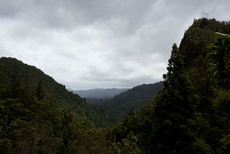 Kauaeranga Valley