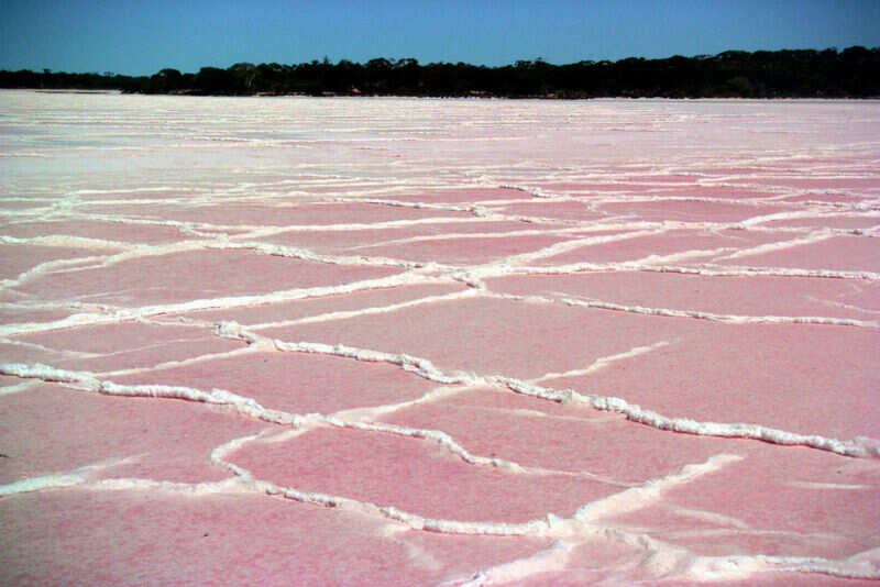 Lake Hillier2