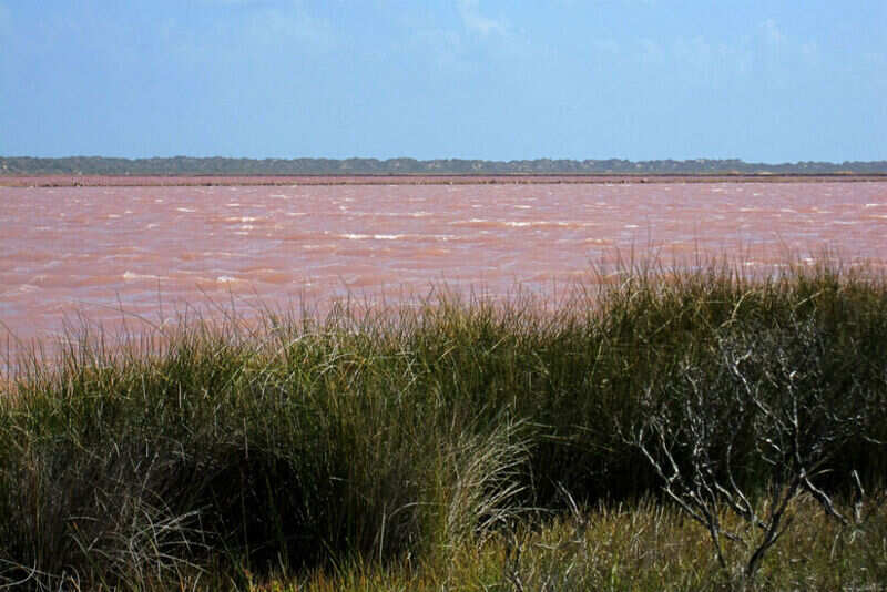 Lake Hillier3