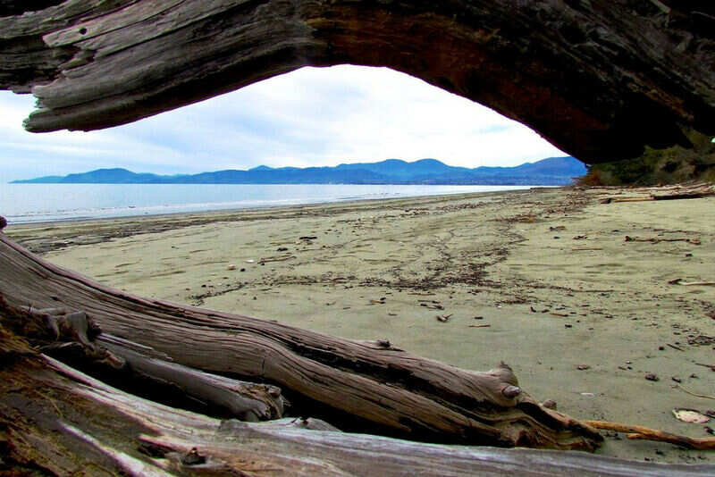 Rabbit Island Nelson