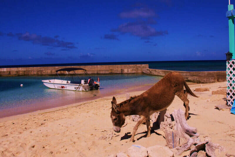 6 undeveloped islands to visit7