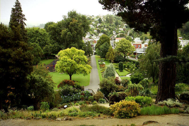 Dunedin Botanic Gardens