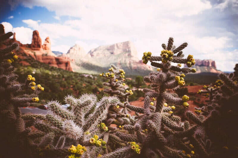 13 experiences you can only have in Arizona2