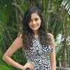 Article image for: <i class="tbold">dhollywood</i> hotties promote their films in Vadodara