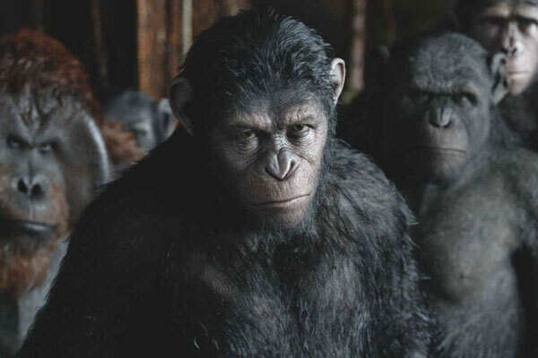 Andy Serkis Pictures