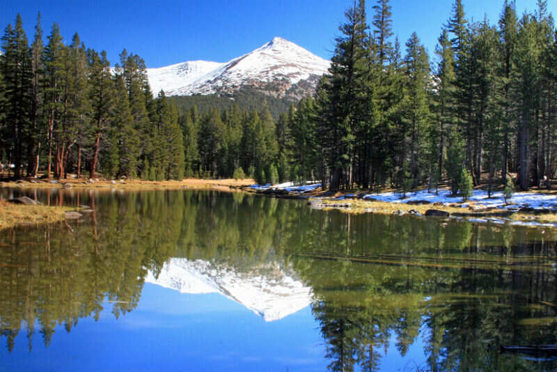 Yosemite National Park (2)