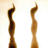 Filmfare Awards: Lesser known facts