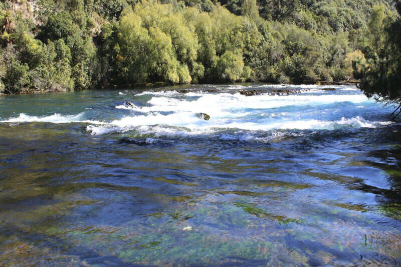 Waikato river