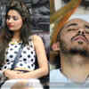 Article image for: Bigg Boss 8: Ali Mirza and <i class="tbold">dimpy</i> Ganguly evicted