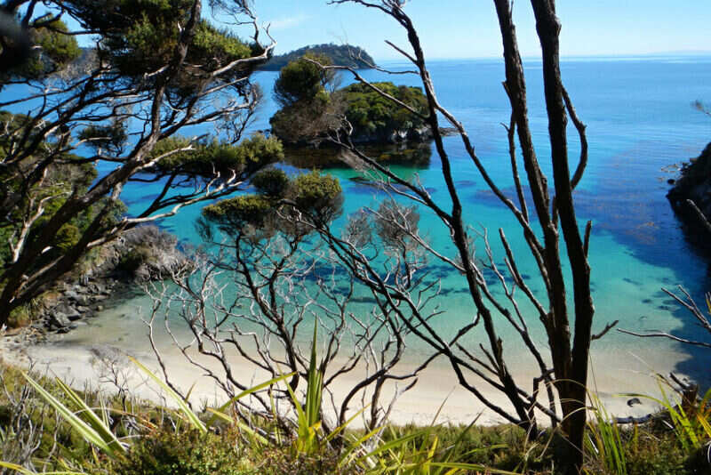 Stewart Island (2)