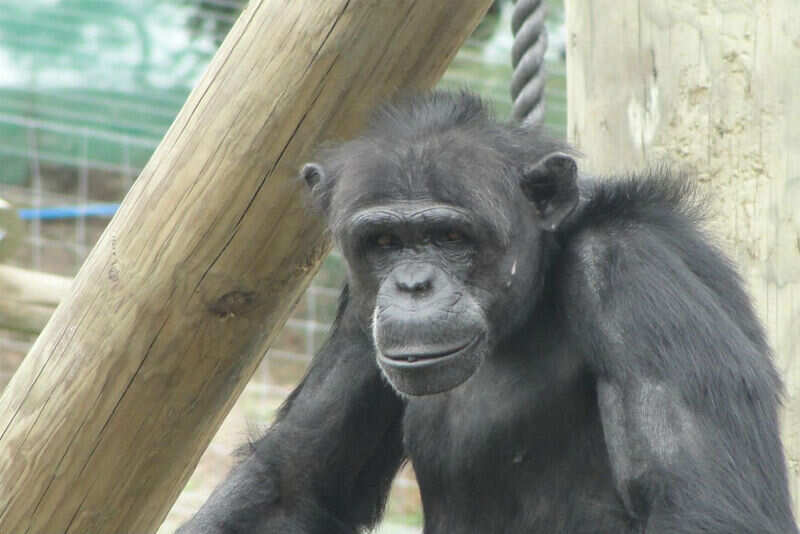 Zoo