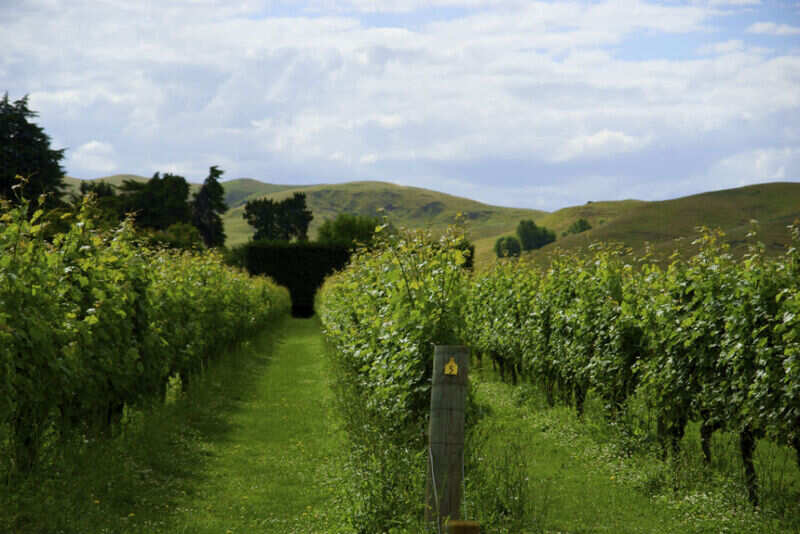 Winery