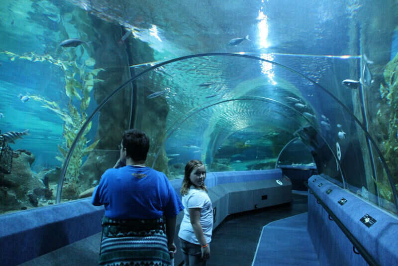 Aquarium