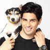 Sidharth Malhotra: Lesser known facts
