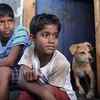 Article image for: Kollywood corners glory at the 62nd National Awards