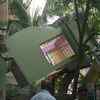 Earthquake in north India, Nepal