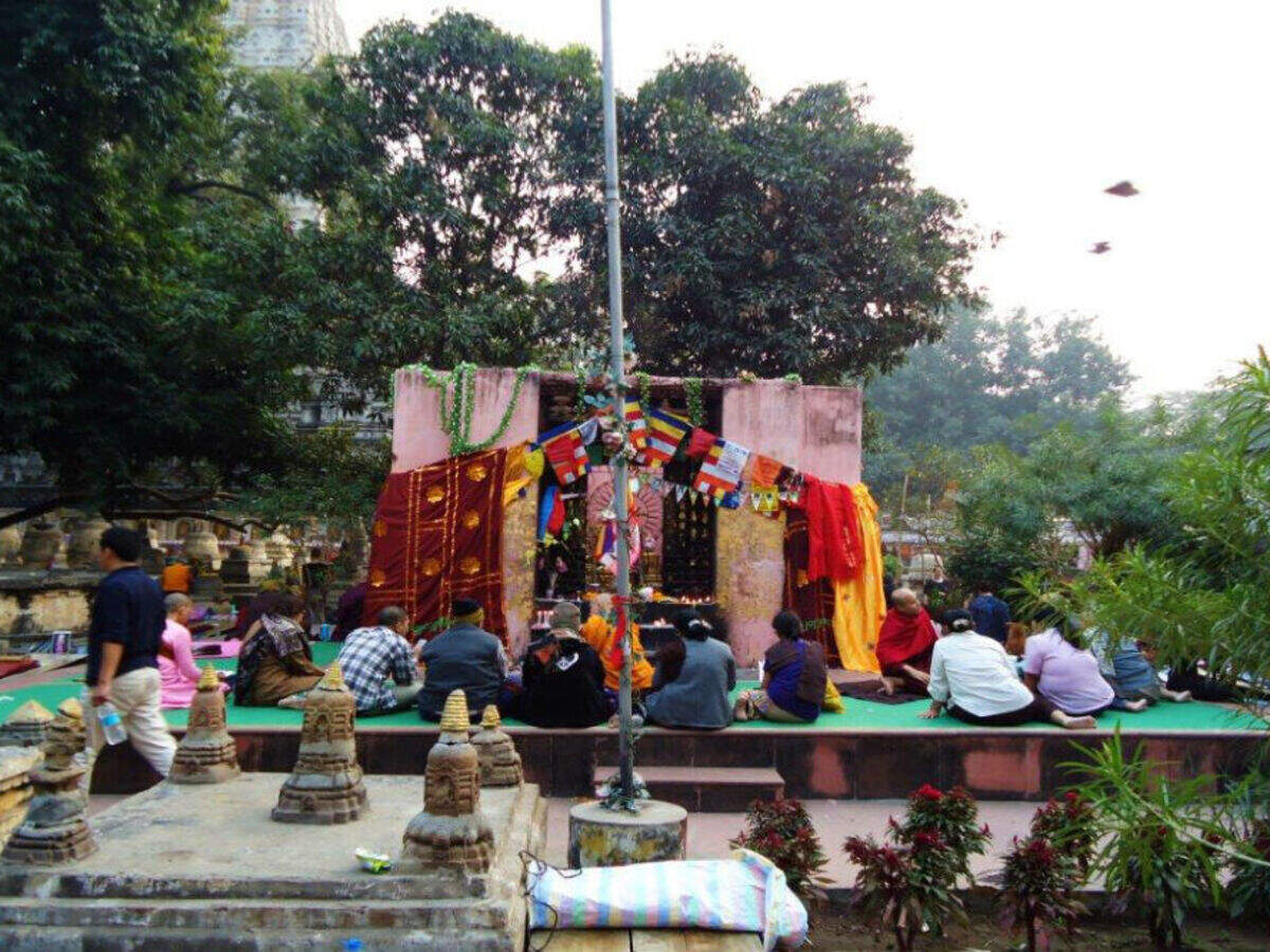 Himalayan Zoological Park, Gangtok - Times of India Travel Himalayan Zoological Park, Gangtok - Times of India Travel