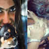 TV stars and their darling pets