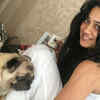 TV stars and their darling pets
