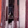 Article image for: Nepal quake badly affects import of '<i class="tbold">rudraksh</i>' in Varanasi