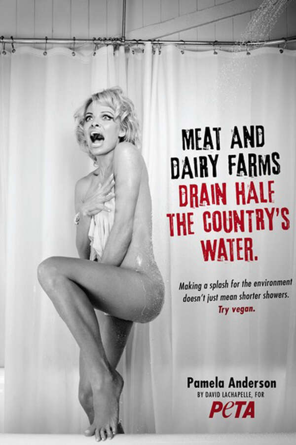 pamela anderson