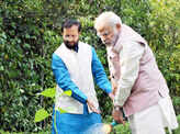 Prime Minister Narendra Modi planting a Kadamb sapling Photogallery - Times of India