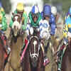 Article image for: American Pharoah wins triple crown