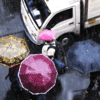 Rain paralyzes Mumbai