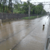 Rain paralyzes Mumbai