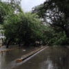 Rain paralyzes Mumbai