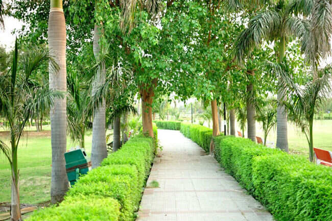 swarn jayanti park japanese park rohini delhi get the detail