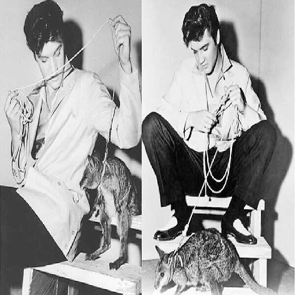 Elvis Presley