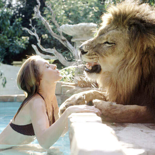 Tippi Hedren Pictures