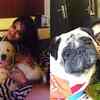 Tollywood celebs and their adorable pet dogs