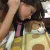 Tollywood celebs and their adorable pet dogs