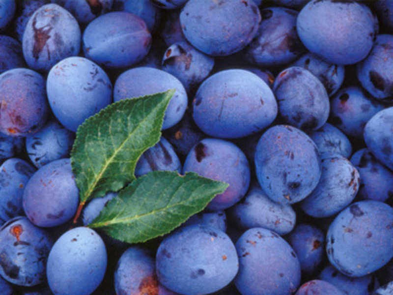 Rainy Season Fruits in India