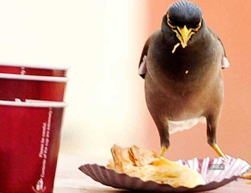 Picture package of the day