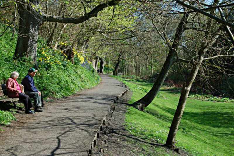 Lade_Braes_-_geograph