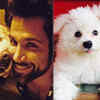 TV stars and their darling pets