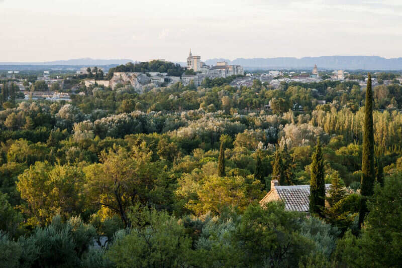TRAVEL-TIMES-PROVENCE-5_1310181
