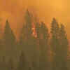 Article image for: <i class="tbold">firefighters</i> battle massive Washington blaze