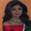 Bollywood actress who worked in Tollywood