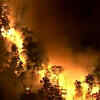 Article image for: New Jersey forest fire burns hundreds of <i class="tbold">acre</i>s