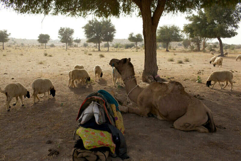 TRAVEL-TIMES-RAJASTHAN-MARCH31-5_1127934